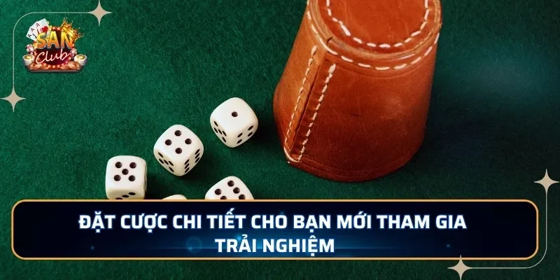 Đặt cược chi tiết cho bạn mới tham gia trải nghiệm